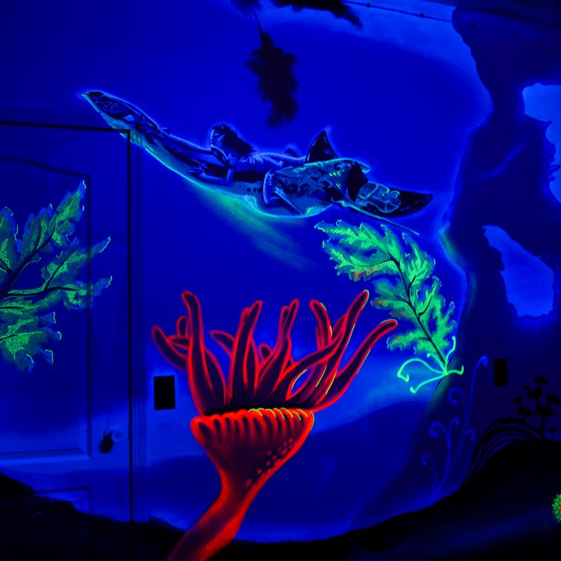 Avatar 2 underwater, Air BnB mural