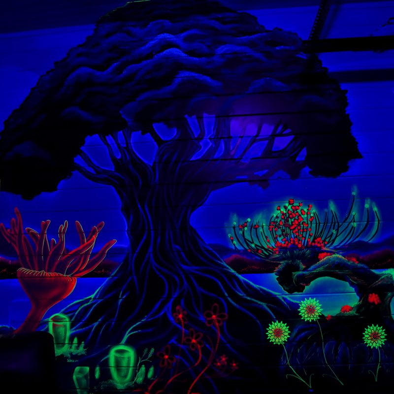 Avatar tree of life, Air BnB mural